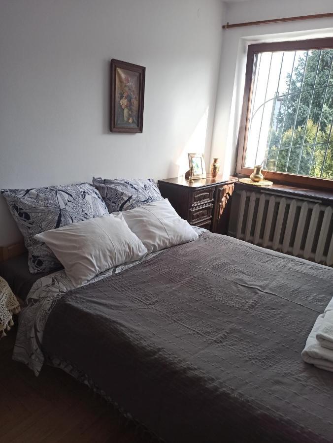 Hotel-hostel Saska Ostello