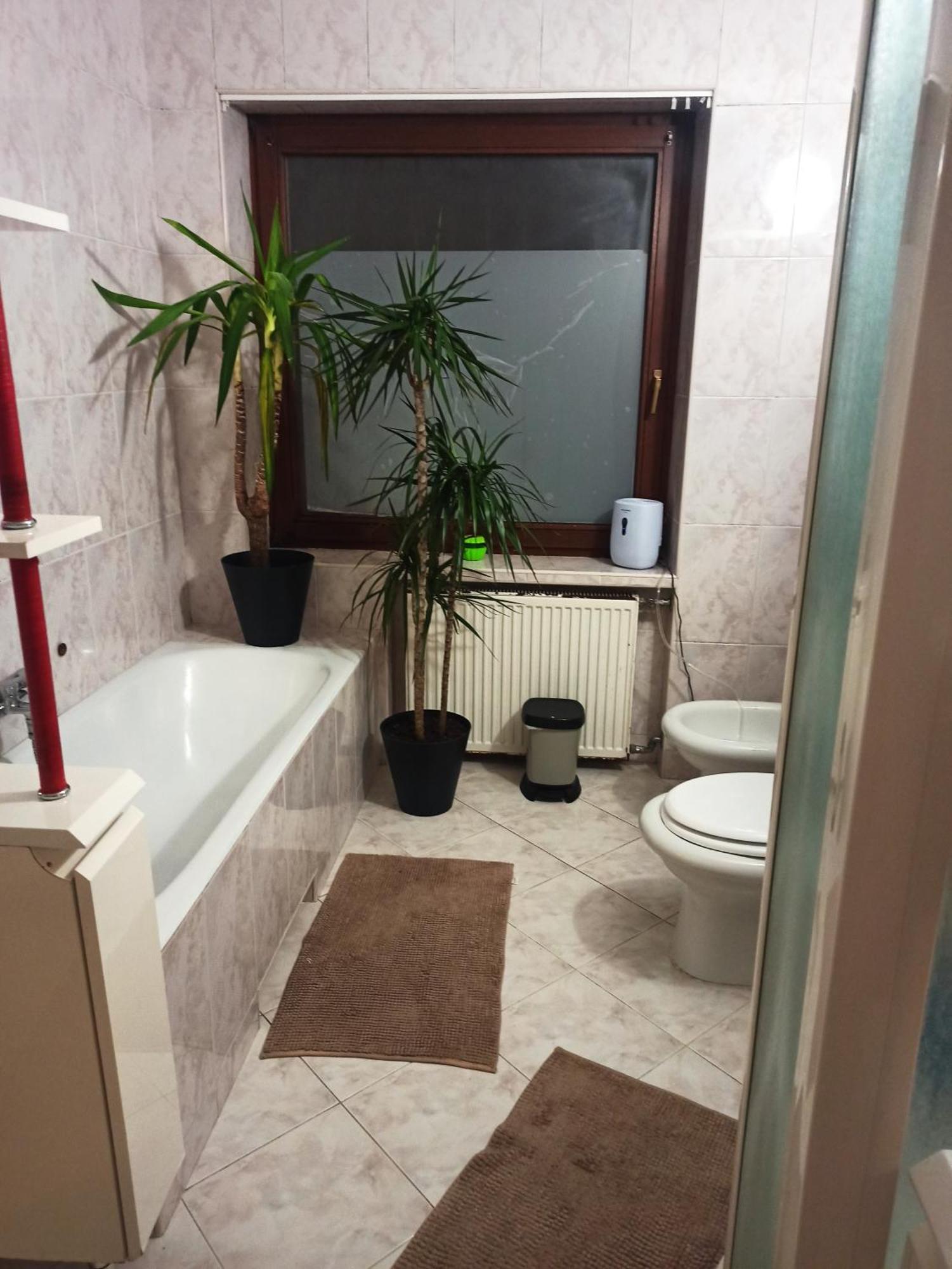 Хостел Hotel-hostel Saska *